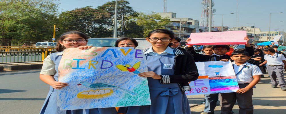CBSE Best School in Ahmedabad, Best School in Ahmedabad, English School in Ahmedabad, English Medium School in Ahmedabad, CBSE School in Ahmedabad, CBSE School in Bopal, School in Ahmedabad