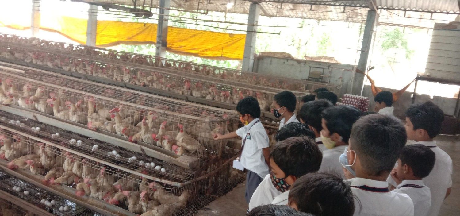 IMG_20230718_111227-scaled