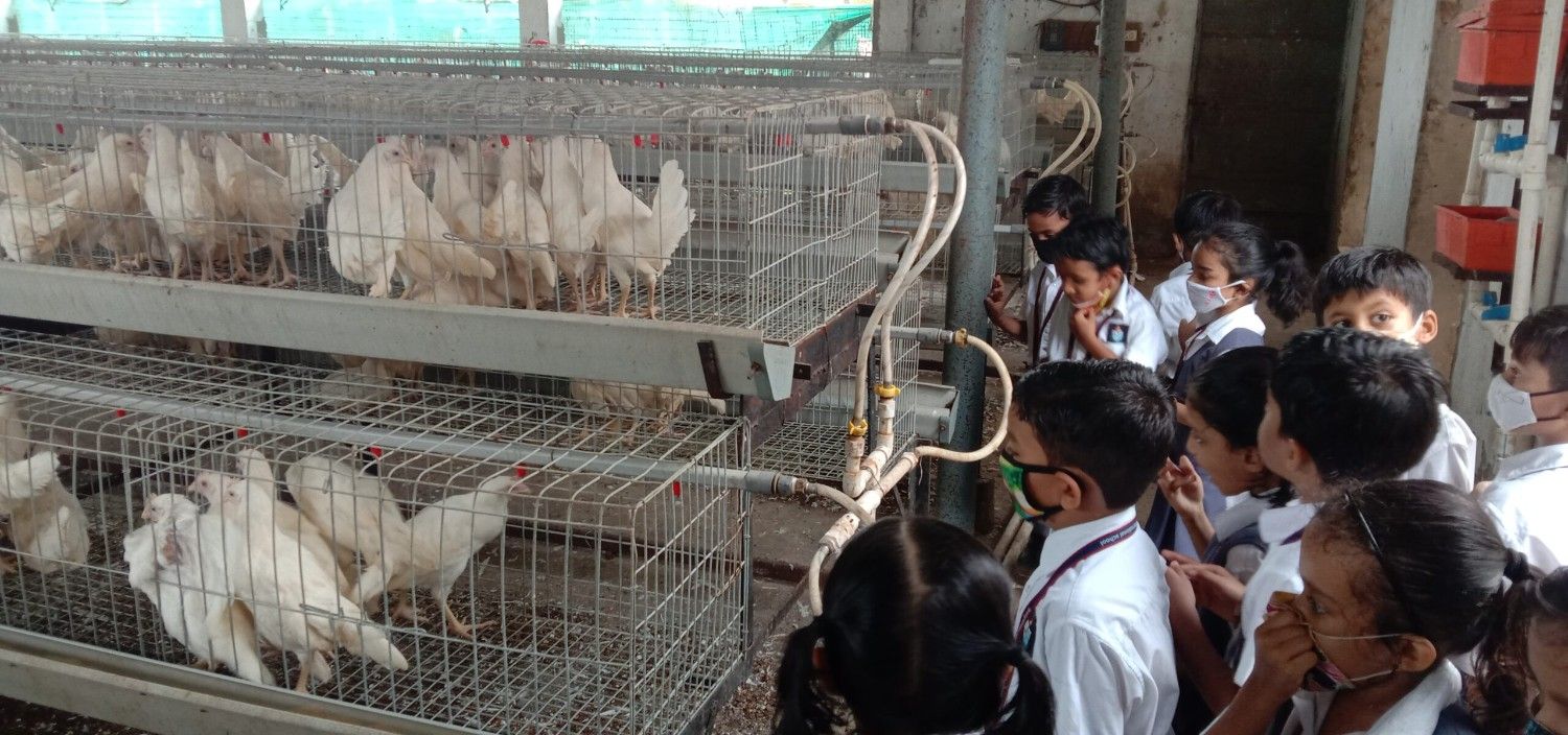 IMG_20230718_111619-scaled